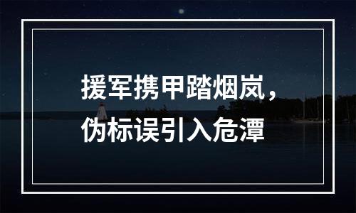 援军携甲踏烟岚，伪标误引入危潭