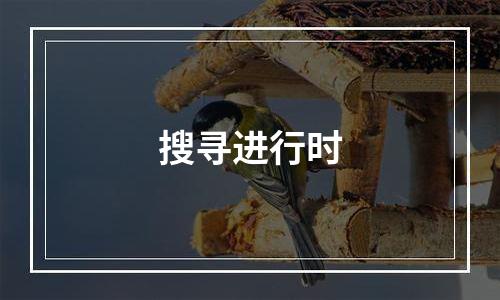搜寻进行时