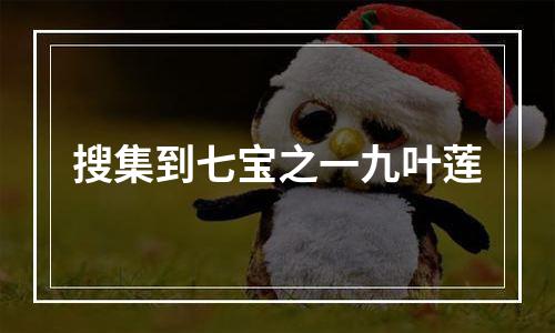 搜集到七宝之一九叶莲
