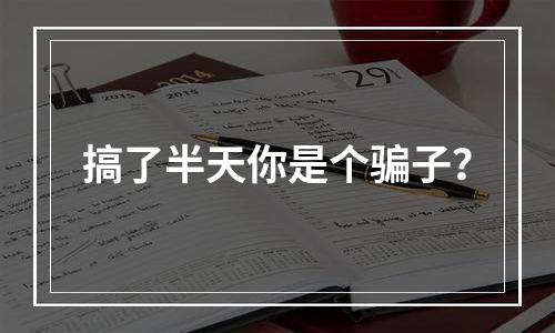 搞了半天你是个骗子？
