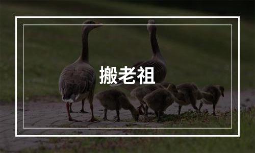 搬老祖