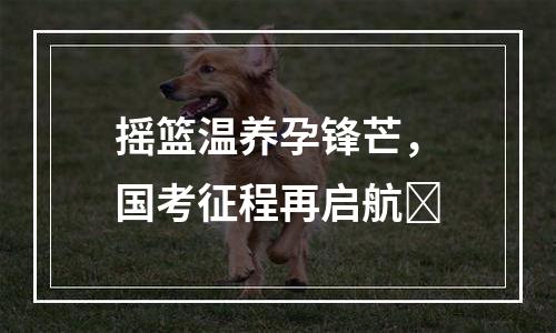 摇篮温养孕锋芒，国考征程再启航​