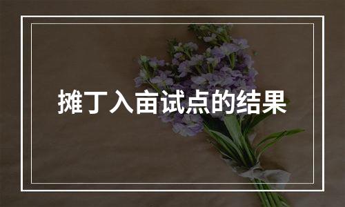 摊丁入亩试点的结果