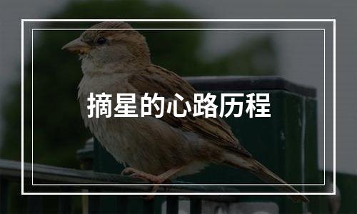摘星的心路历程
