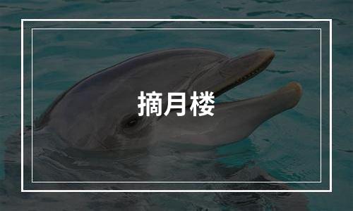 摘月楼