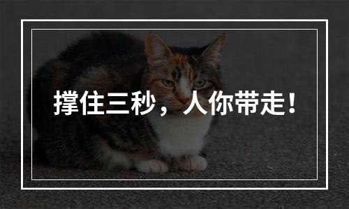 撑住三秒，人你带走！