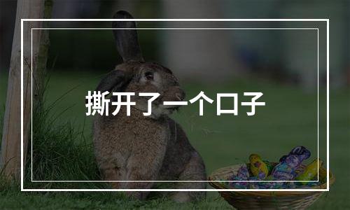 撕开了一个口子