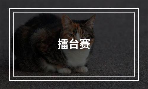 擂台赛