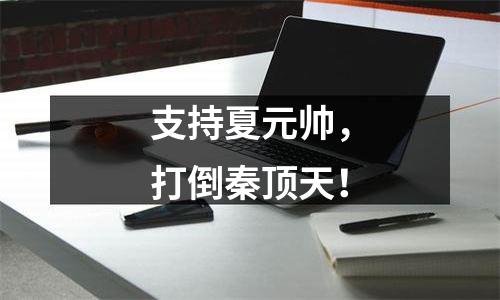 支持夏元帅，打倒秦顶天！