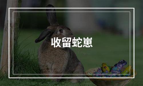 收留蛇崽