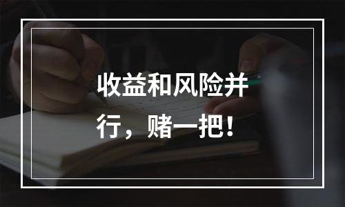 收益和风险并行，赌一把！