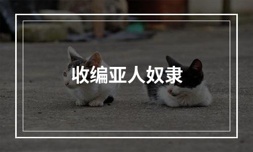 收编亚人奴隶