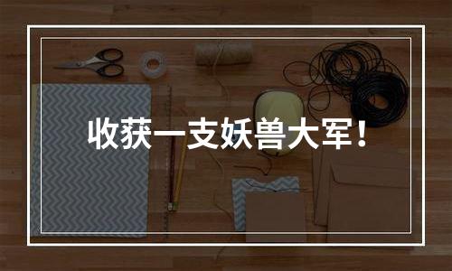 收获一支妖兽大军！