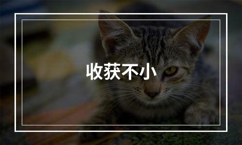 收获不小