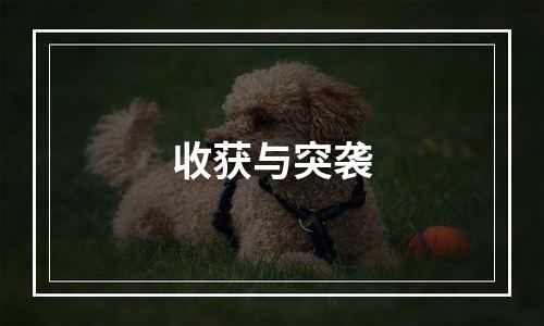 收获与突袭