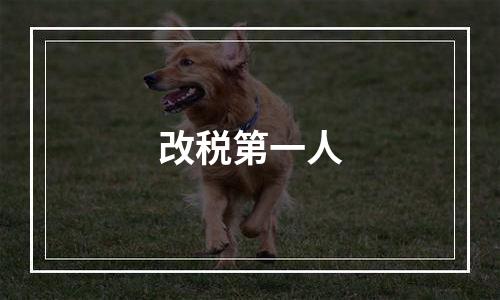 改税第一人