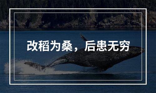 改稻为桑，后患无穷