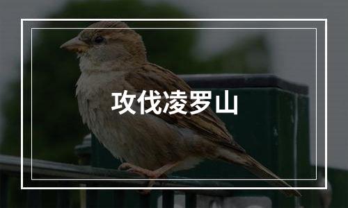 攻伐凌罗山