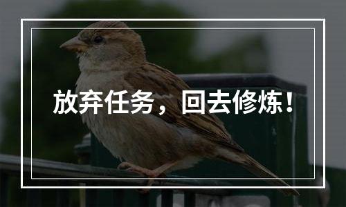 放弃任务，回去修炼！