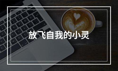 放飞自我的小灵