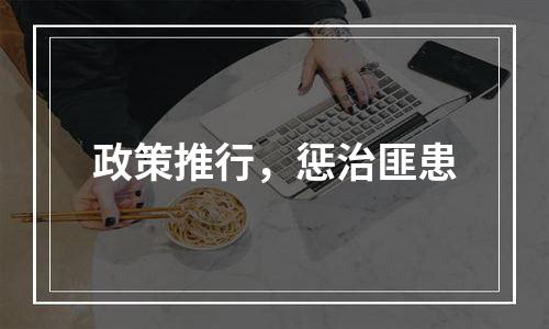 政策推行，惩治匪患