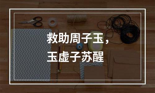 救助周子玉，玉虚子苏醒