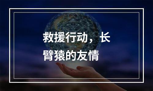 救援行动，长臂猿的友情