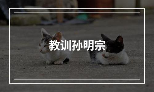 教训孙明宗