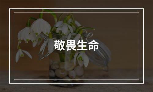 敬畏生命