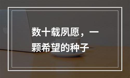 数十载夙愿，一颗希望的种子