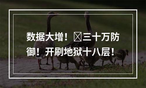 数据大增！​三十万防御！开刷地狱十八层！