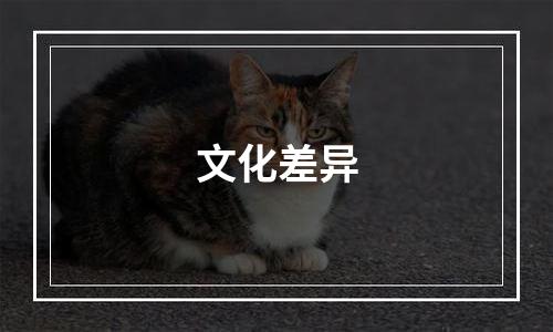 文化差异