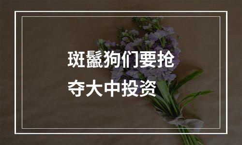 斑鬣狗们要抢夺大中投资