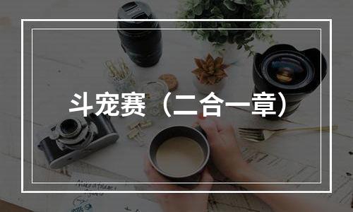 斗宠赛（二合一章）