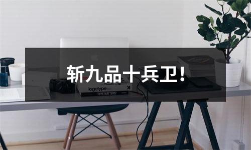 斩九品十兵卫！