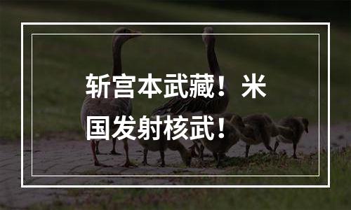 斩宫本武藏！米国发射核武！