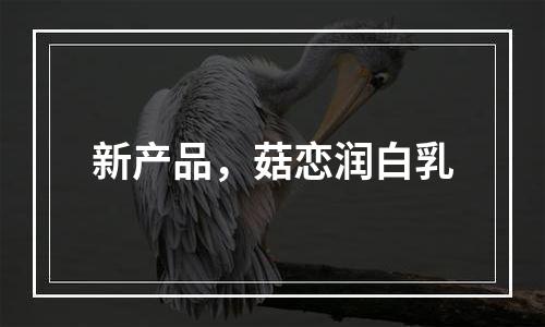 新产品，菇恋润白乳