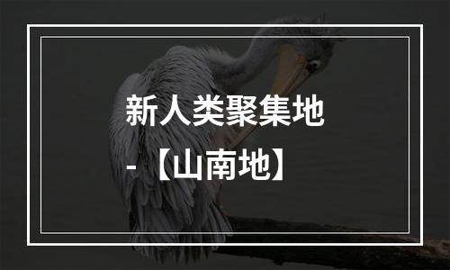 新人类聚集地-【山南地】