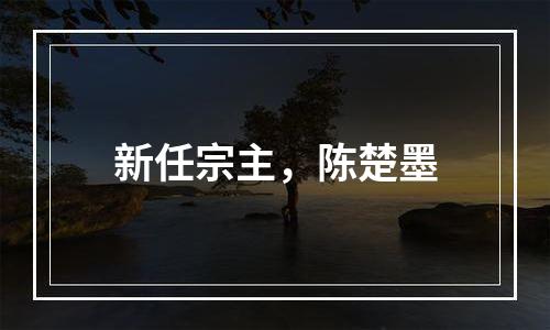 新任宗主，陈楚墨