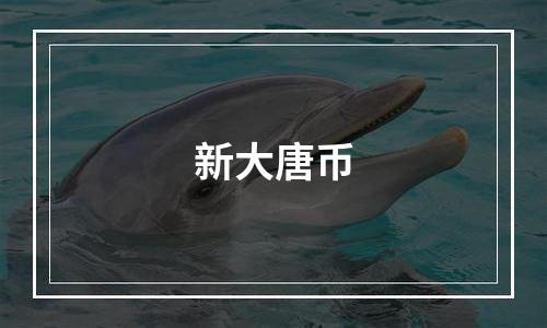 新大唐币