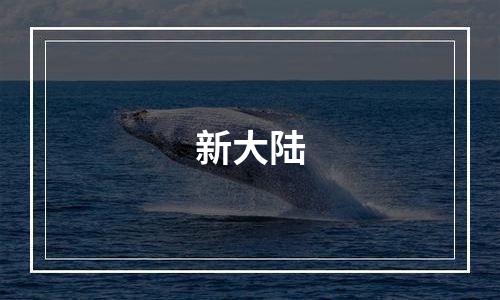 新大陆
