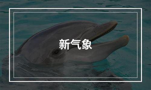 新气象