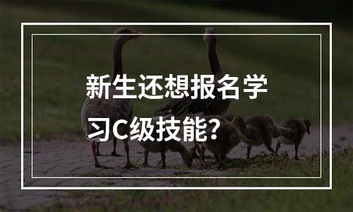 新生还想报名学习C级技能？