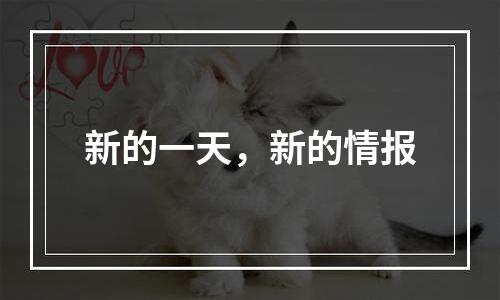 新的一天，新的情报