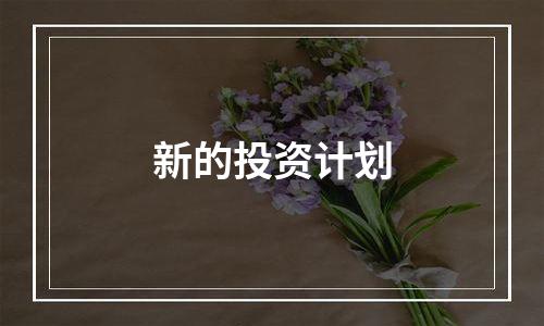 新的投资计划
