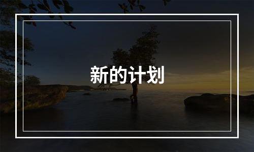 新的计划