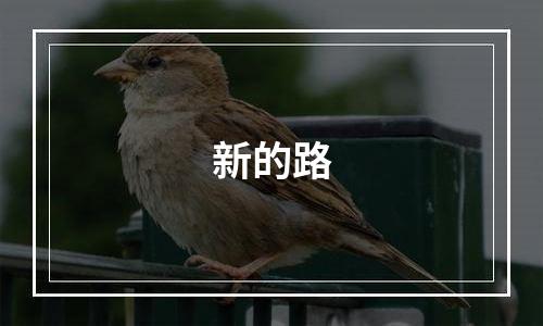 新的路