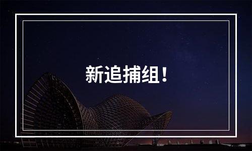 新追捕组！