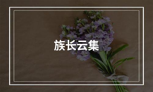 族长云集