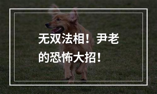 无双法相！尹老的恐怖大招！